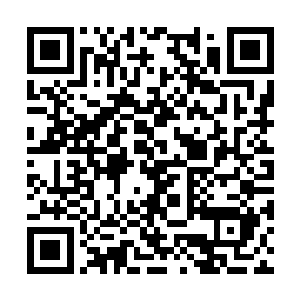 往往需要亿万年的收集才能够炼制出来一颗月之珠二维码生成