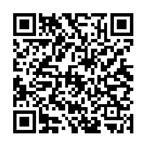 往日威风凌然的傅家家主此刻却被一个少女指着鼻子骂二维码生成