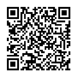 往日孩子气的辫子被全部束在了脑后绑成了马尾二维码生成