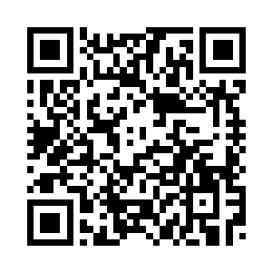 往日散漫满不在乎的表情消失不见二维码生成