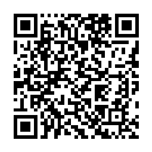 往日眼高于顶都盼着自己艳压群芳的闺秀大多愿意帮阿九二维码生成