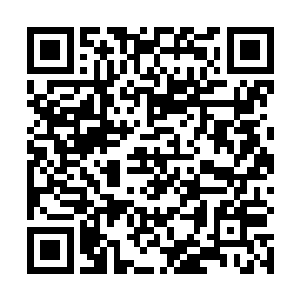 往日里早就该沉静下来的京城依然是灯火通明杀声震天二维码生成