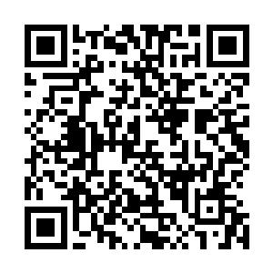 往昔还是战五渣的时候就敢只凭速度抢夺魔界能者的轮回果二维码生成