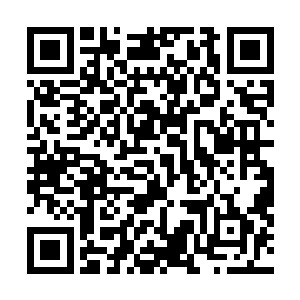 征服了希腊并在很多方面延续其文明和传统的罗马人称为二维码生成