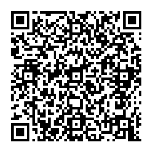 征服神圣冰岛王国的野心在这一瞬间就像在阳光下飞舞的肥皂泡一样被风吹得挂在树枝上一样二维码生成