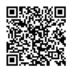 征罗记得当初回部落运过来的那个怪人长什么样二维码生成