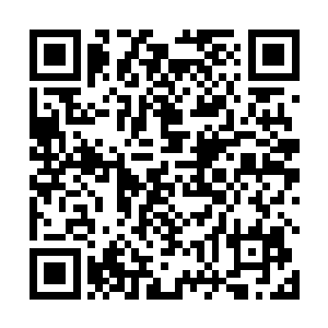 径直地带着龙宇他们走进一间看起来很是简易的客栈中二维码生成