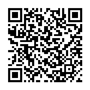 径自拿起坐上的茶杯为自己和墨修尧各倒了一杯茶二维码生成