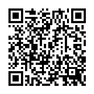 待他下葬之后我就回燕国……我想让你随我回去二维码生成