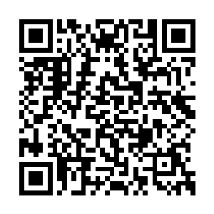 待会你们的任务就是破坏妖兽脖颈上的那个铁环二维码生成