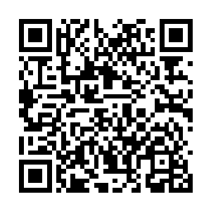 待会儿如果要是幻盟盟主和大长老有任何动作的话二维码生成