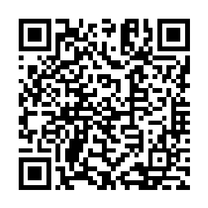 待你下次月信干净之后我就可以为你做手术进行修复二维码生成