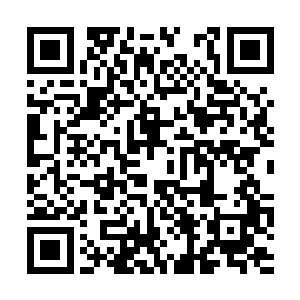 待到看着蓝海与陈小练顺利地穿过广场上的漏洞者二维码生成