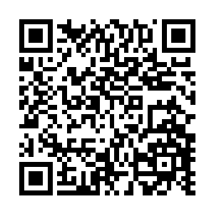 待在自己和其他人共有的狭小的出租屋内为明天的生计担忧二维码生成