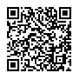 待得炎灵草体内最后一滴火红色液体被压榨而出之后二维码生成