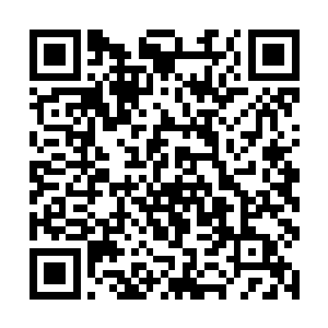 待玄鸦子巡游整个须弥洞天数百万海里世界三十余载二维码生成