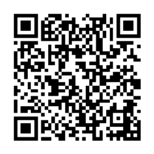 待看清双腿竟被一条儿臂粗细的暗红色藤条缠住时二维码生成