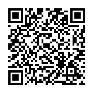 待走近了发现白雁的头上似乎都已经有不少白头发了二维码生成