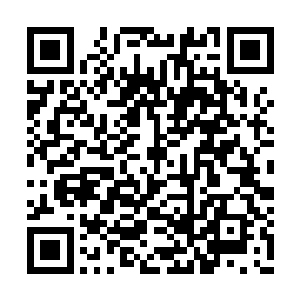 待那六个地尊后期巅峰逼近到了他们两个的跟前二维码生成