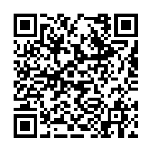 待那红毛猴再次瞬移之前又是一颗雷球丢在它身上二维码生成