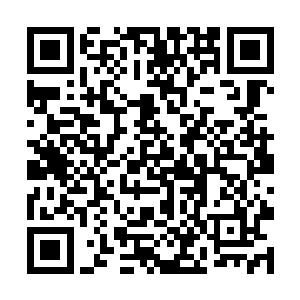 很不适应这样紊乱的重力和仿佛时刻发生地震的环境二维码生成