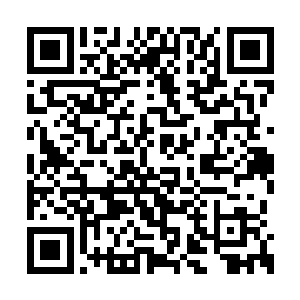 很主动的将叶笑整个人全都护翼在自己翅膀之下二维码生成