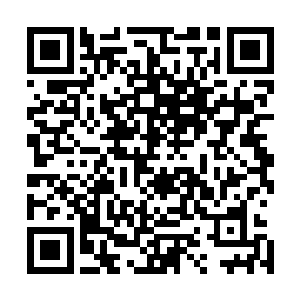 很像师父在他耳边多次提及的那些已经失传的神秘上古武技二维码生成