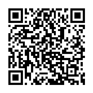 很叫人有些担心他是怎么个长途跋涉到这里来的二维码生成