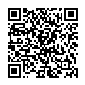 很可能主动或者被动地抹杀掉了神魂之中所有的生命信息二维码生成