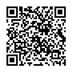 很可能也是类似于腾蛇之魂这种有一定智慧的死物傀儡二维码生成