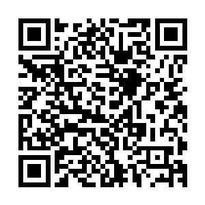 很可能便是一直被困在倪道溪得到的那件幽冥宝物之内的妖魔二维码生成
