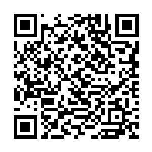 很可能因为一次两次这样的事情便再也不敢与人搏杀二维码生成