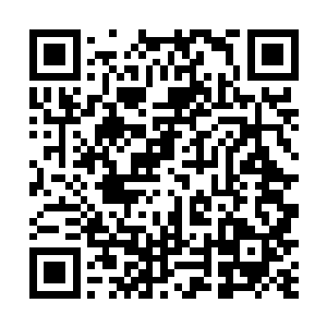 很可能掌握了非常出色程度的科医生专业手法――好吧二维码生成