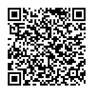 很可能接下去就会所有人要求自己也唱一个……林若溪虽然不想承认二维码生成