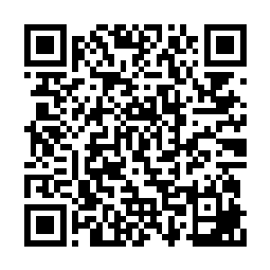 很可能是因为预估珍妮已经提前锁定剧情女主角二维码生成