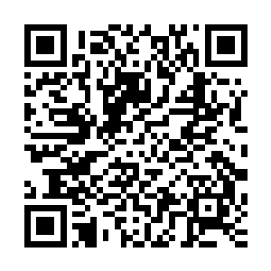 很可能直接推迟到明年才能与下一批军校生分配进各个部队吧二维码生成