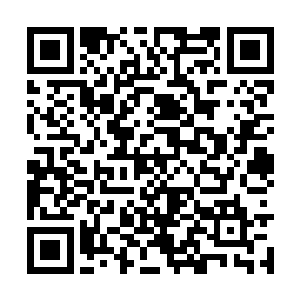 很可能自己这艘真君舰和叶青军队都会被排出湘北二维码生成