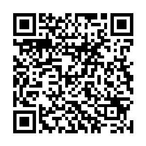 很多人甚至于可以在水里呆上半个小时都不用上岸换气二维码生成