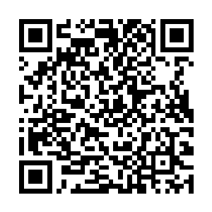 很多人都以为他和司源道人最有可能成为下一代的教二维码生成