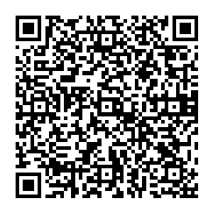 很多人都以为赵纯良这次会跟之前的每一楼一样 用暴力的姿态碾压过所有人 可是事实上 他们想错了二维码生成