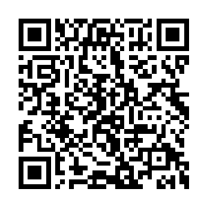 很多人都有点后悔当初为什么要那么对待叶秋呢二维码生成