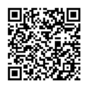 很多人都觉得珍妮是通过强力经纪人拿下的这个角色二维码生成