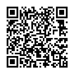 很多人都说龙战只有对着凌菲才会像个正常的人类二维码生成