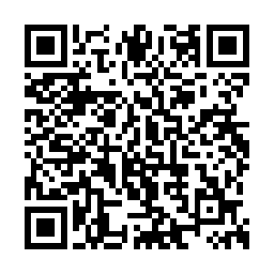 很多人都还觉得苏落在理论方面肯定会得零蛋呢二维码生成