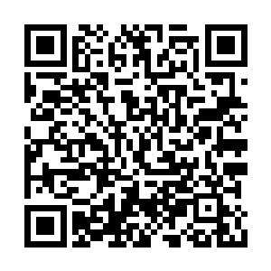 很多修炼宗门用这种阵法来试炼弟子的向道之心二维码生成