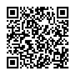 很多冒险者不再将白河谷地视为自己冒险的一站二维码生成