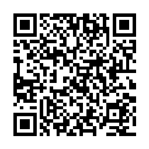 很多城池的武者都来到了距离紫薇宗最近的白罗城暂时歇脚二维码生成