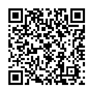 很多完全叫不出名字的水中生物一路陪伴着欢喜哥和小胖二维码生成