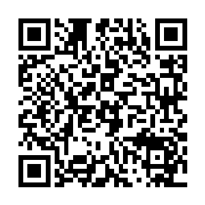 很多年轻人在十八岁的时候都会选择旅行作为自己的成人礼二维码生成