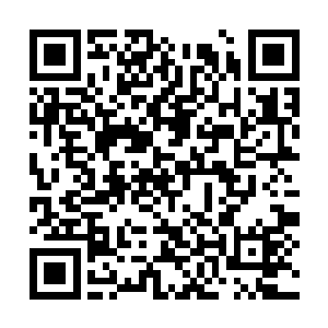 很多时候几乎是半送甚至是丢包袱一般扔给乌克兰二维码生成